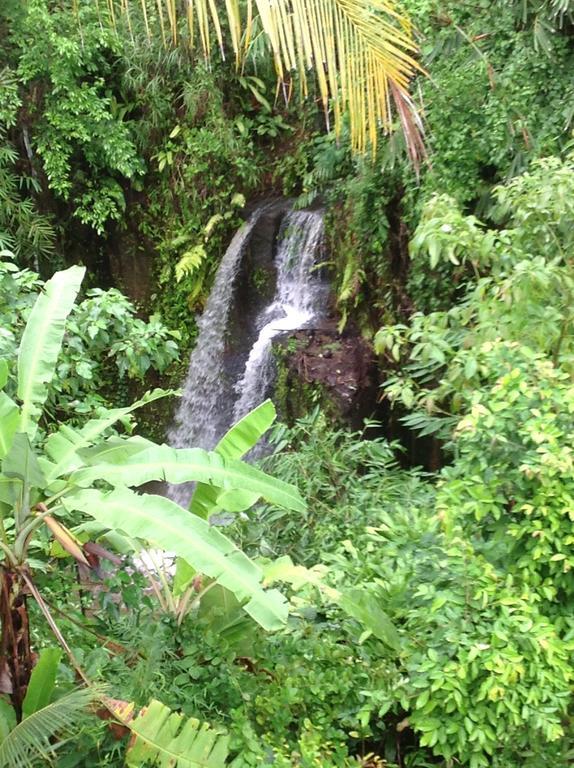 Gasthuis White Lotus Oasis Ubud