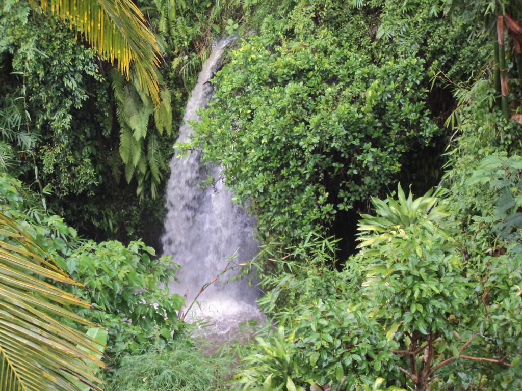 White Lotus Oasis * Ubud
