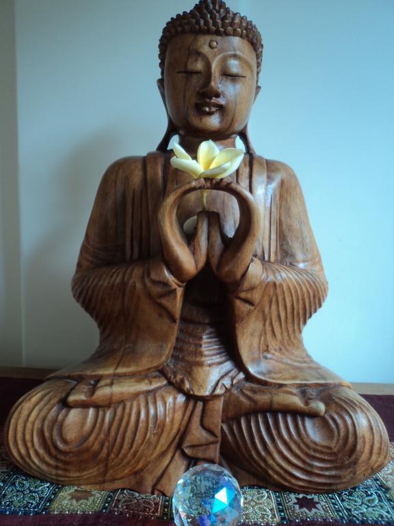 White Lotus Oasis Affittacamere Ubud