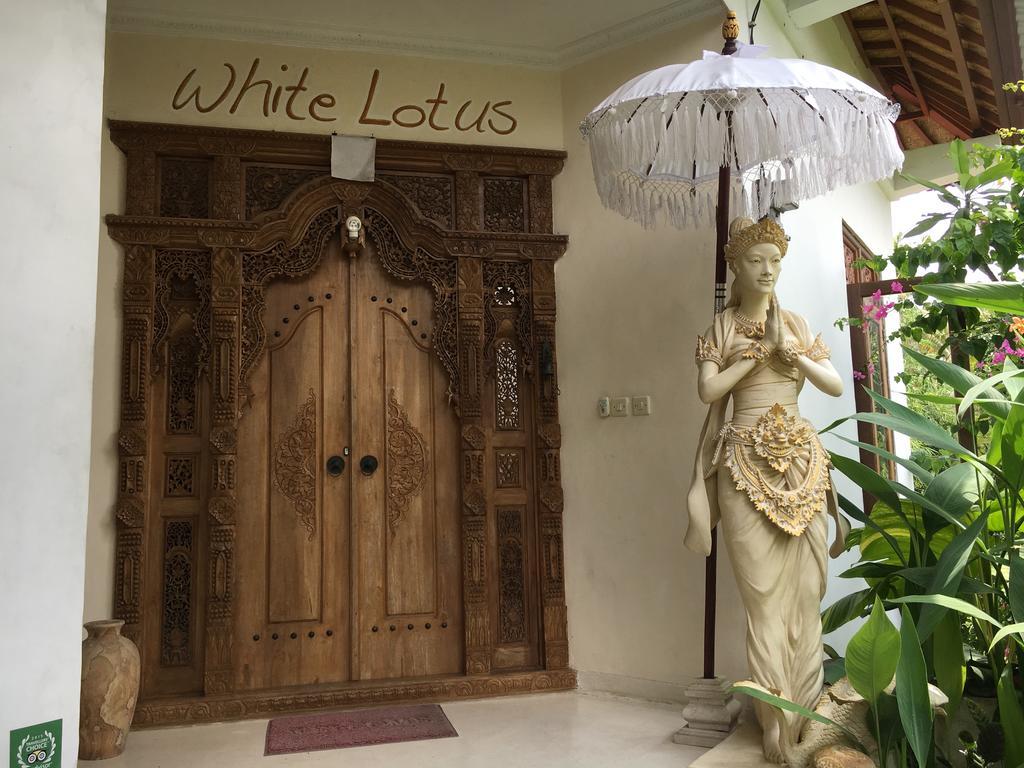 White Lotus Oasis *