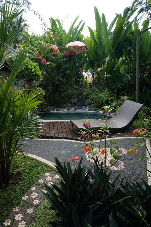 Affittacamere White Lotus Oasis *