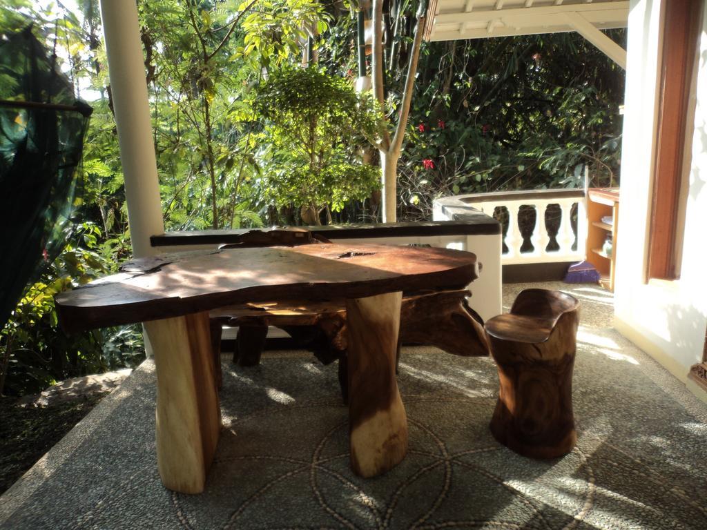 White Lotus Oasis Guest house