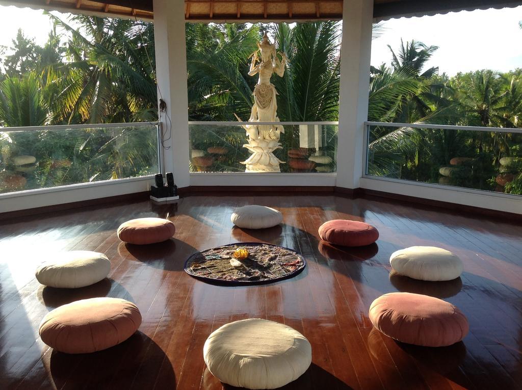 White Lotus Oasis Guest house