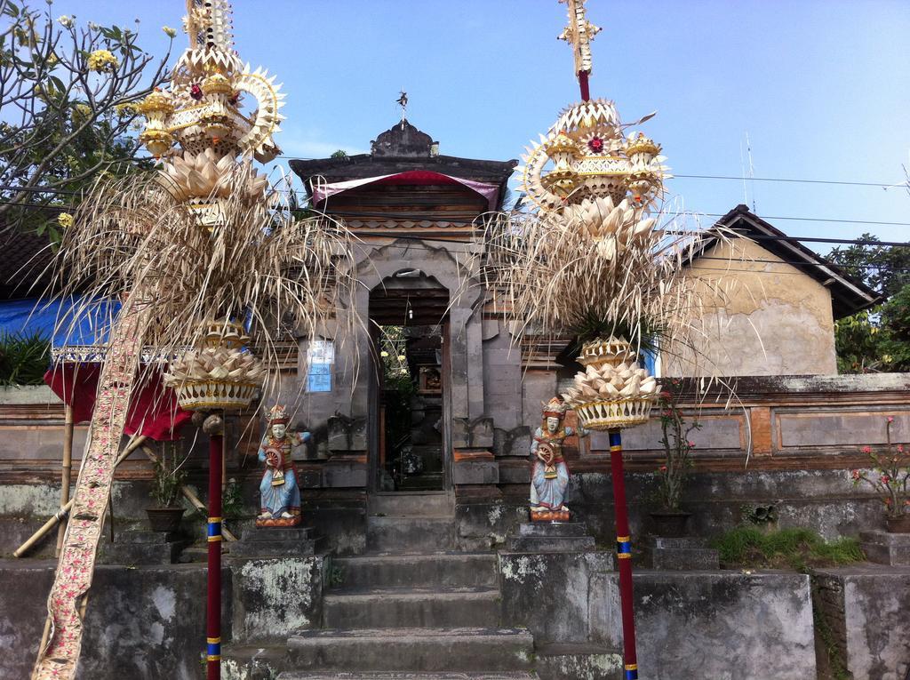 Guest house White Lotus Oasis